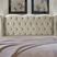 Bege