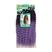 3T1B/PURPLE