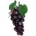Vinho