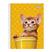 Amarelo