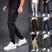 Bege