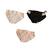 Conjunto 1