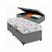 Cinza