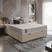 Bege