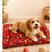 Dog Vermelho