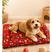 Dog Vermelho