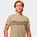 Bege
