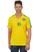Brasil audaz