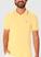 00396, Amarelo