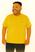 Amarelo bee