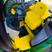 Amarelo