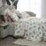 Borboletas