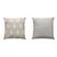 PRISMA - BEGE