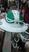 Branco com verde