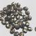 Oval Ambar 10x8mm 5575 -250
