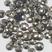 Redon Ouro V 8+10mm 5595 -250