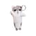 Gatinho cinza