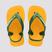 Amarelo pop, Amazonia, 2151
