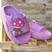 Lilas cogumelo