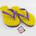 Amarelo, Roxo