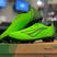 Verde 31