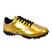 Dourado