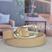 Bege