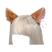orelha de gato marrom