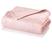 Rosa/8636