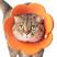 Laranja