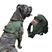 Verde militar