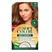 Louro Natural 70