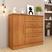Cinamomo