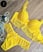 Amarelo camaro