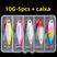 5 peças 10g