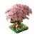Pequeno Rosa-Opp