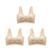 Conjunto 11