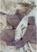 Satim c, Sensuale