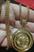 Dourado