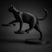 Gato Preto