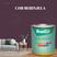 BERINJELA