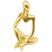 Dourado d