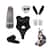 Conjunto 2