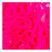 Rosa Neon
