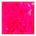 Rosa Neon