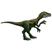 Farlowichnus
