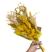 Amarelo 1