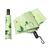 Abacate verde