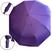 Violeta2