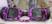 Roxo galaxy